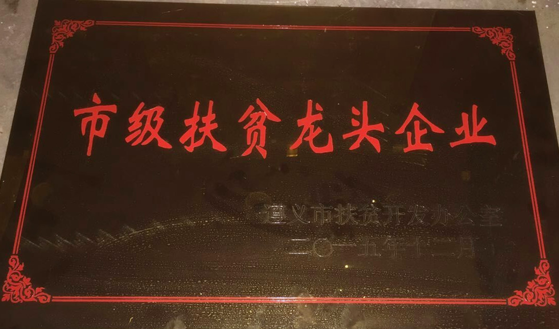 市级扶贫龙头企业