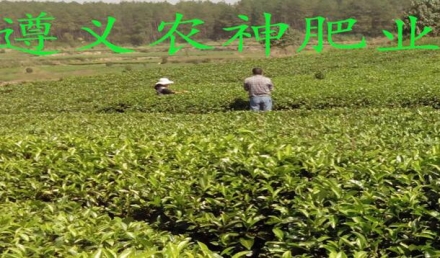 贵州有机肥网站